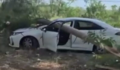 Muğla’da radar aracının üzerine ağaç devrildi