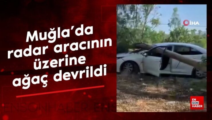 Muğla’da radar aracının üzerine ağaç devrildi