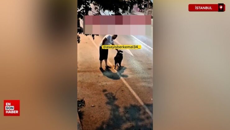 Pendik’te skandal imaj: Köpeğe tecavüz ederken görüntülendi
