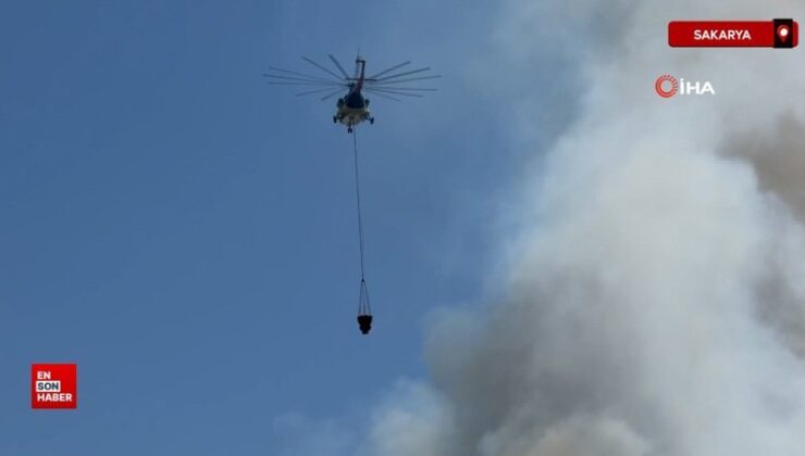 Sakarya’da orman yangını: Gruplar seferber oldu