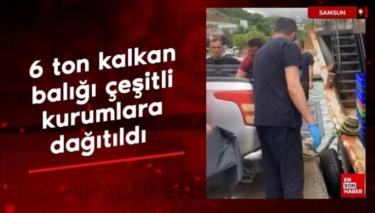 Samsun’da 6 ton kalkan balığı kentte çeşitli kurumlara dağıtıldı