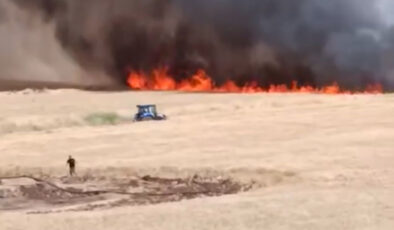 Şanlıurfa’da buğda ekili alan yandı
