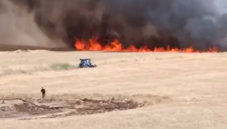 Şanlıurfa’da buğda ekili alan yandı