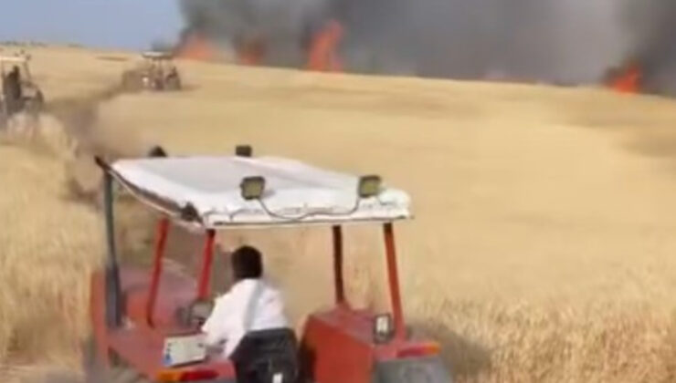 Şanlıurfa’da buğday tarlası küle döndü