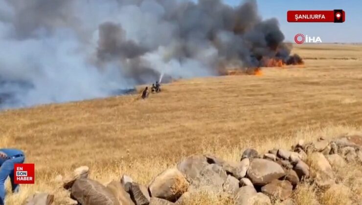 Şanlıurfa’da buğday tarlasında yangın