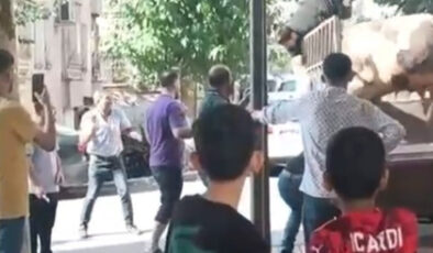 Şanlıurfa’da kasap mevtten döndü