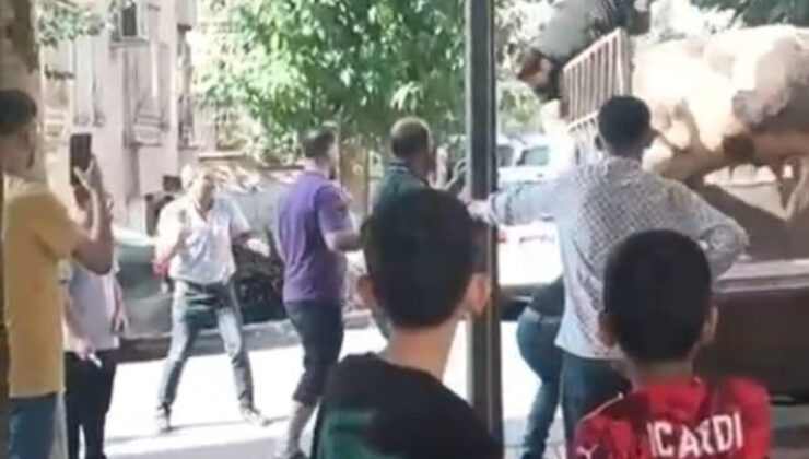 Şanlıurfa’da kasap mevtten döndü