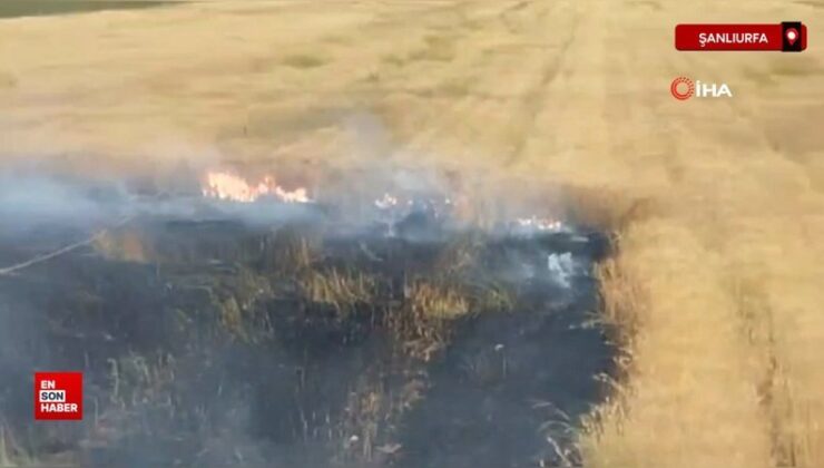 Şanlıurfa’da orman yangını