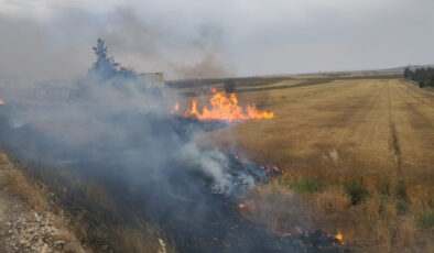 Şanlıurfa’da orman yangını