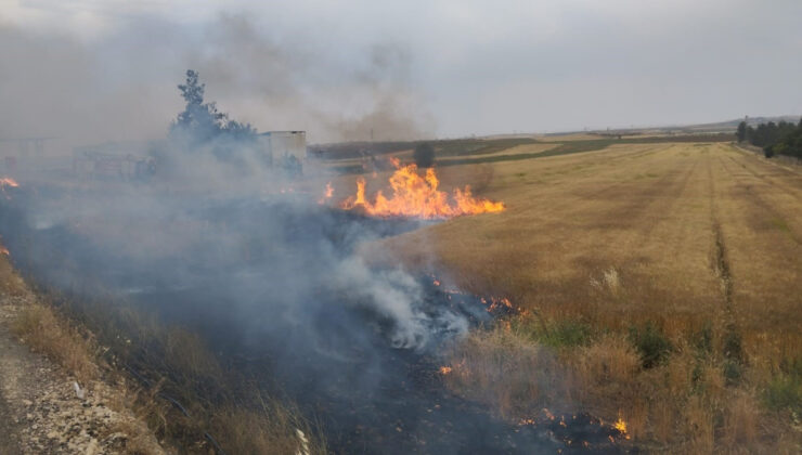 Şanlıurfa’da orman yangını