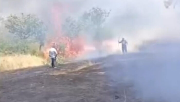 Siirt’te çay için yakılan ateş fıstık ağaçlarına sıçradı