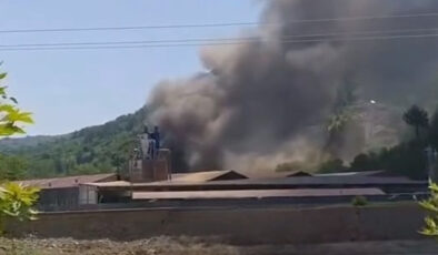 Sinop’ta kereste fabrikasında yangın