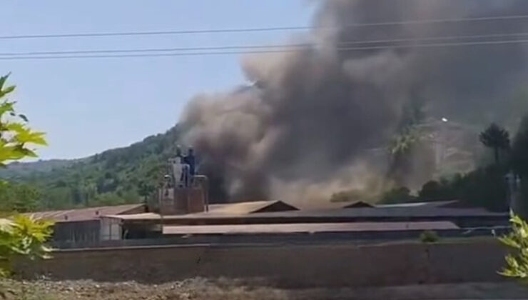 Sinop’ta kereste fabrikasında yangın