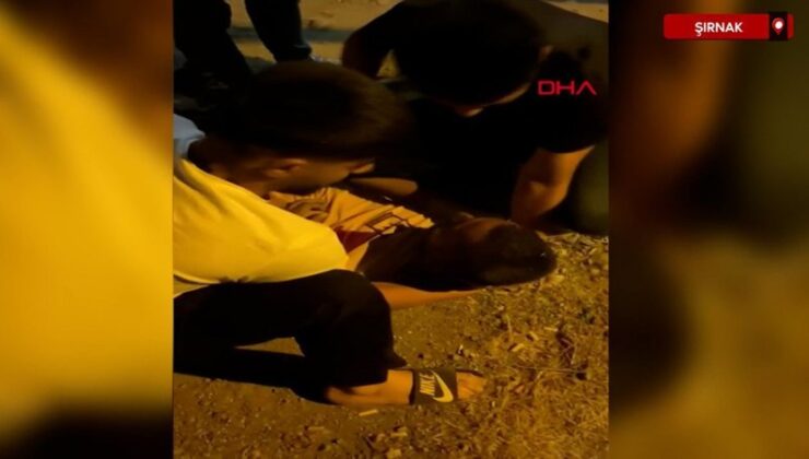 Şırnak’ta iki aile ortasındaki arbedeyi ayırmaya çalışırken hayatını kaybetti