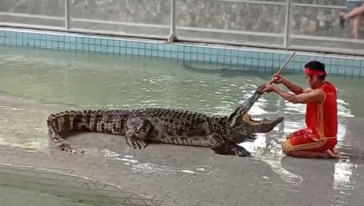 Tayland’da turist çekmek için hayatlarını tehlikeye atıyorlar