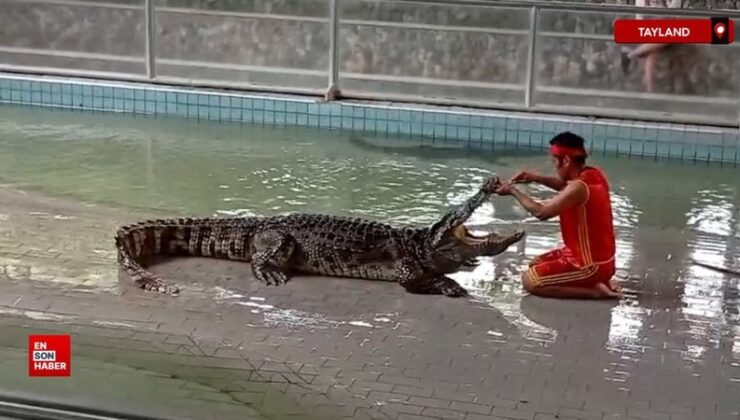 Tayland’da turist çekmek için hayatlarını tehlikeye atıyorlar