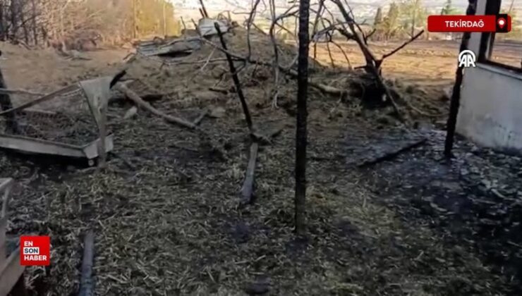 Tekirdağ’da buğday tarlasında başlayıp iki meskene sıçrayan yangın söndürüldü