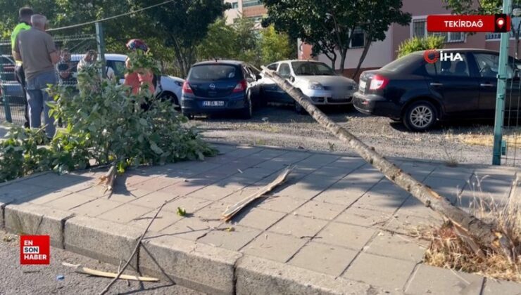 Tekirdağ’da tırın çarptığı araba site bahçesine uçtu