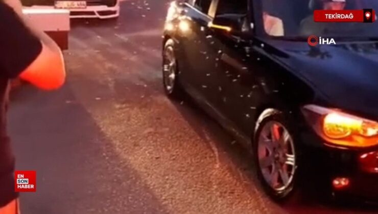 Tekirdağ’ın Süleymanpaşa ilçesinde yaşanan sinek istilası