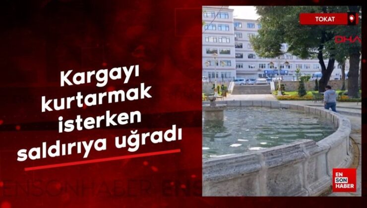 Tokat’ta kargayı kurtarmak isterken akına uğradı
