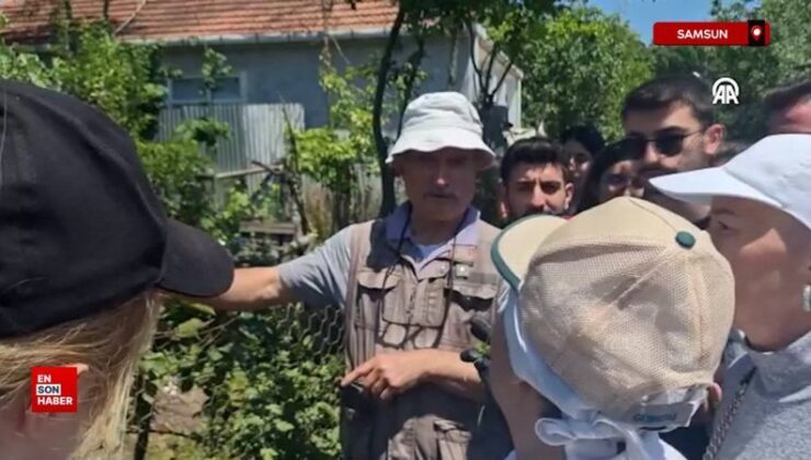 Uzmanından yaprakları maydanoza benzetilen zehirli baldıran otu konusunda ikaz