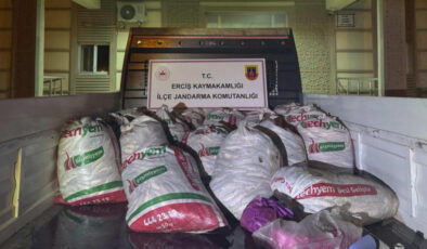 Van’da kaçak avlanan 2 ton inci kefali ele geçirildi