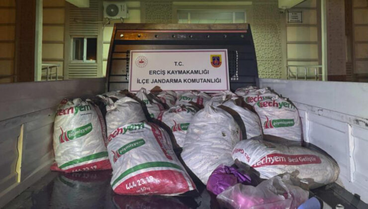 Van’da kaçak avlanan 2 ton inci kefali ele geçirildi