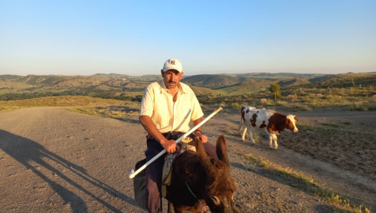 Yozgat’ta besiciler, çoban bulamamaktan şikayetçi