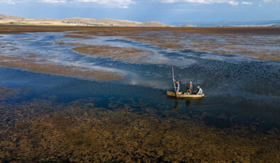 10 soruda Türkiye’nin birinci İklim Kanunu’nun merak edilenleri