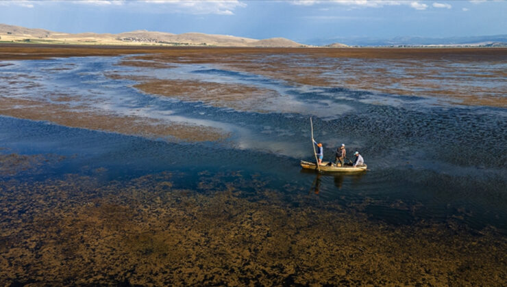 10 soruda Türkiye’nin birinci İklim Kanunu’nun merak edilenleri