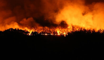65 orman yangınıyla ilgili gözaltına alınan 44 şüpheliden 10’u tutuklandı