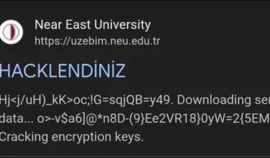 YDÜ UZEBİM’e Erişim Sağlanamıyor