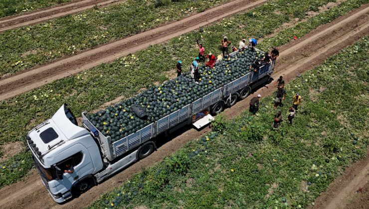 Adana’da karpuz fiyatları tabana vurdu: Kilosu 2,5 lira