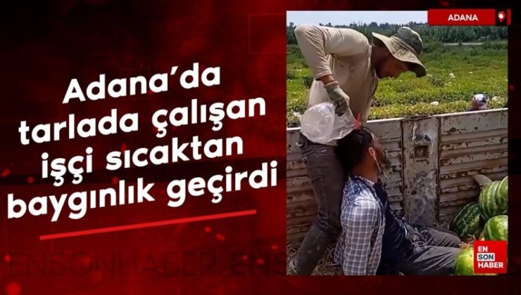 Adana’da karpuz tarlasında çalışan bir personel sıcaktan baygınlık geçirdi