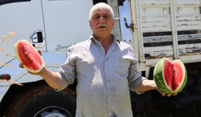 Adana’da karpuzun tarla fiyatı düşmeye devam ediyor