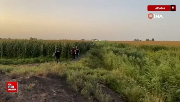 Adana’da sazlıklar ortasında bir kişi meyyit bulundu