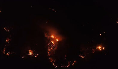 Adana’da yangın denetim altın alındı: 2’si mesken 3 yapı ziyan gördü