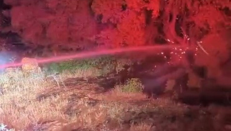 Adıyaman’da 600 dönümlük ormanlık alan küle döndü