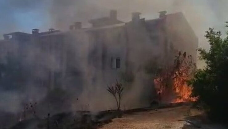 Adıyaman’da anız ateşi meyve ağaçlarını yaktı