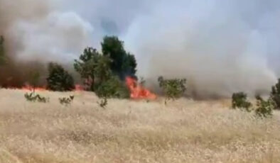 Adıyaman’da korkutan yangın