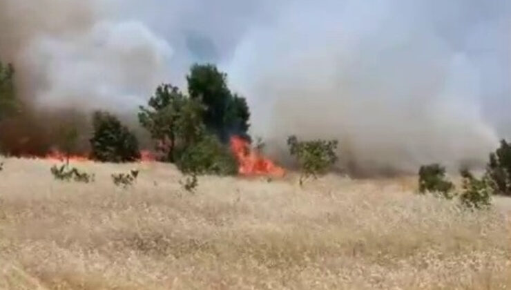 Adıyaman’da korkutan yangın