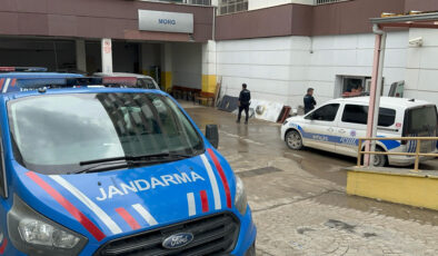 Adıyaman’da torununu kurtarmak isterken hayatını kaybetti