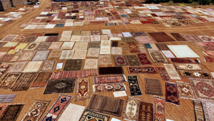 Antalya güneşiyle bedeli artan tarihi halılar, koleksiyonerlerin gözdesi