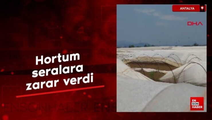 Antalya Serik’te hortum seralara ziyan verdi