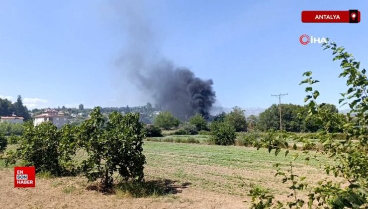 Antalya’da ormanlık alan yangınında 3 hektar alan ziyan gördü