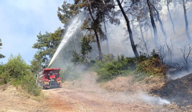 Antalya’da ormanlık alan yangınında 3 hektar alan ziyan gördü