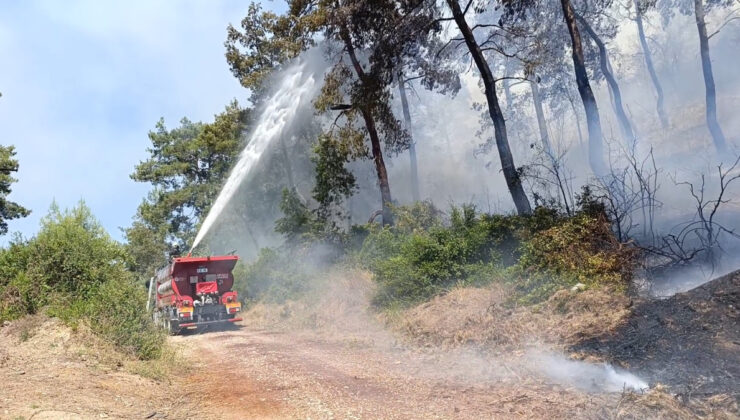 Antalya’da ormanlık alan yangınında 3 hektar alan ziyan gördü