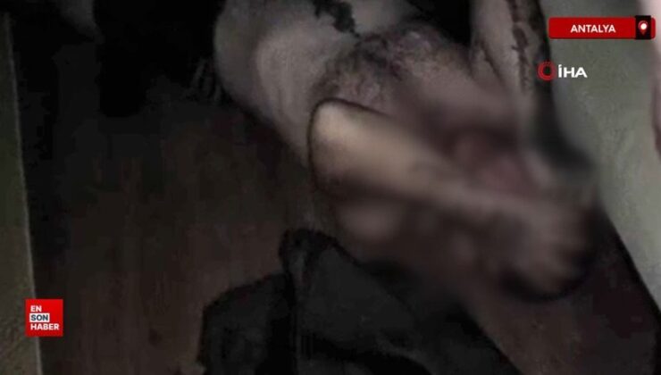 Antalya’da unsur kullanan oğlunu sakinleştirmeye çalışan anne hayatını kaybetti