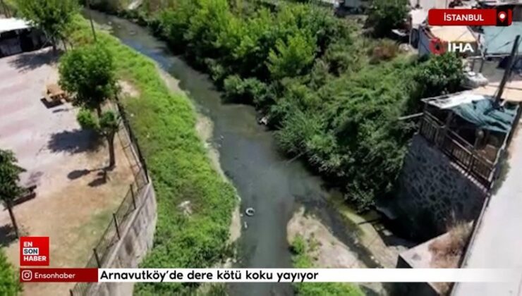 Arnavutköy’de dere berbat koku yayıyor: Vatandaş reaksiyonlu