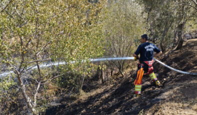 Balıkesir itfaiyesi 12 günde 971 yangına anında müdahale etti